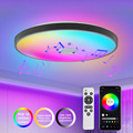 Smart Bluetooth Control LED Ceiling Lights - Creative Design 40W Dimming Acrylic Round Lamp for Living Room and Bedroom (110V/220V)1