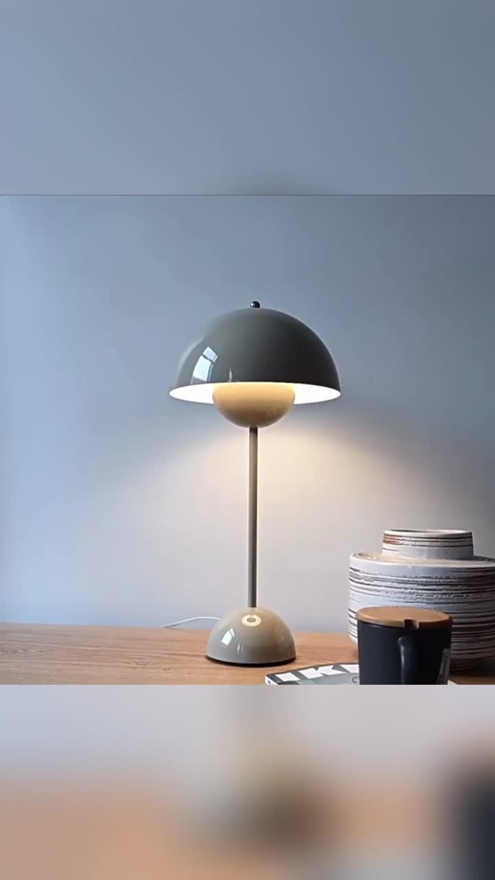 Современная модная декоративная лампа [SK-4721]