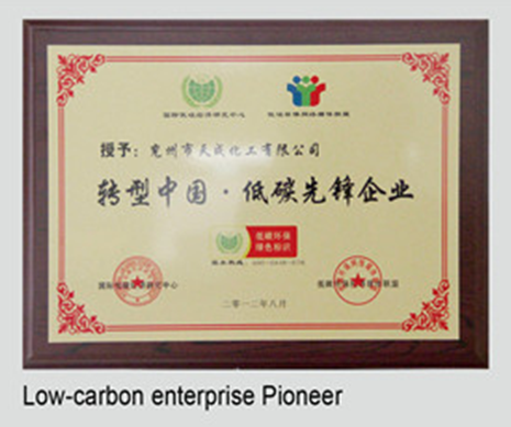 Low carbon pioneer enterprise