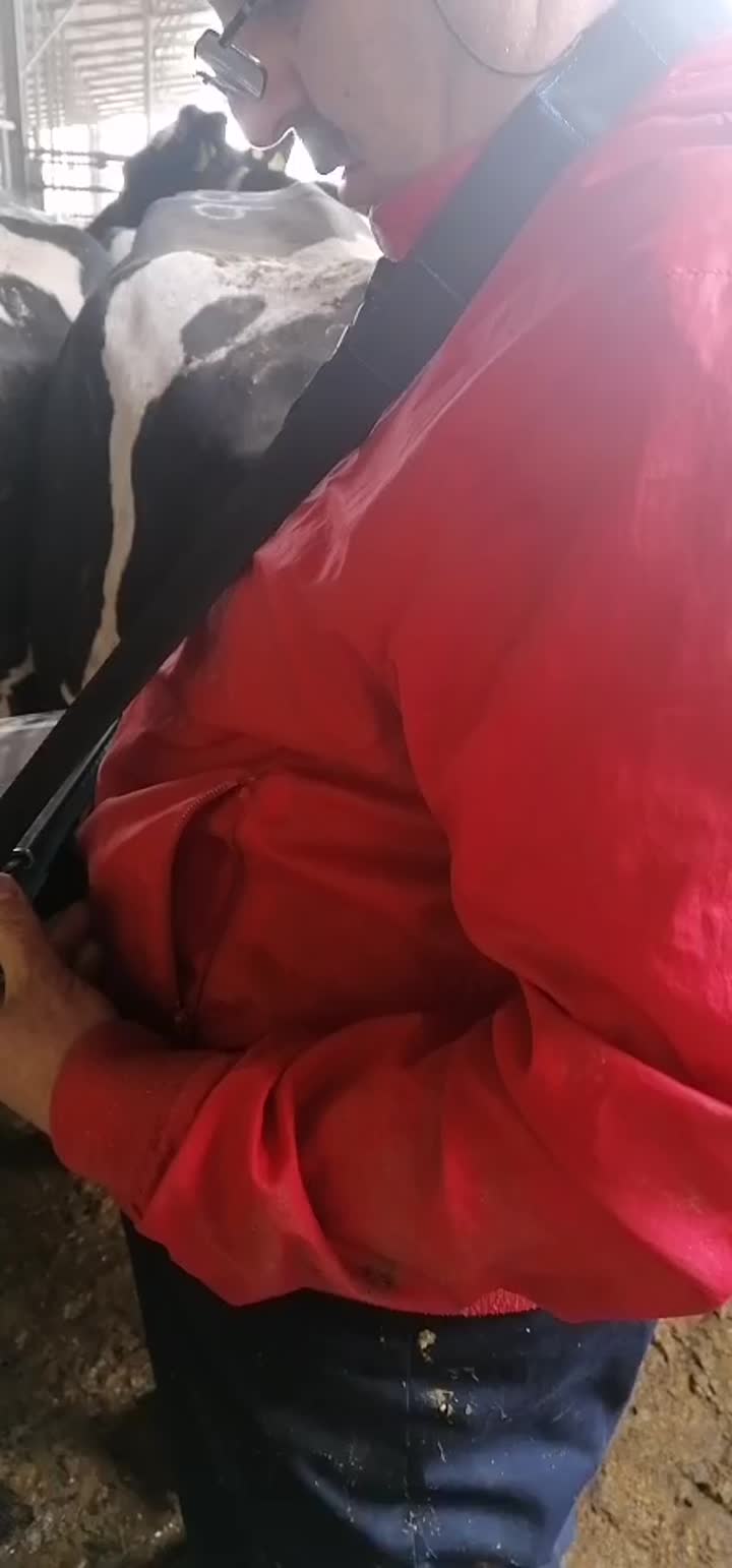 portable ultrasound machine