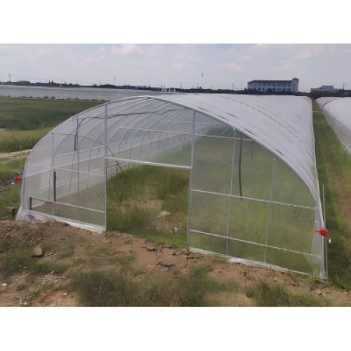 Greenhouse Construction Quality: Safeguarding Security and Solidifying the Foundation of Agricult
