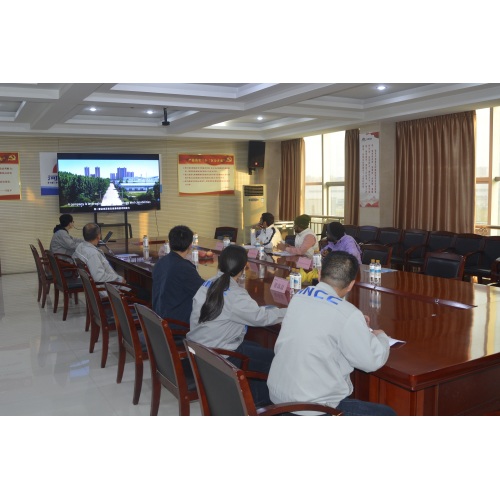 Az indiai delegáció meglátogatja Tieta Rubber-t, előkészítve az utat a hosszú távú partnerség felé