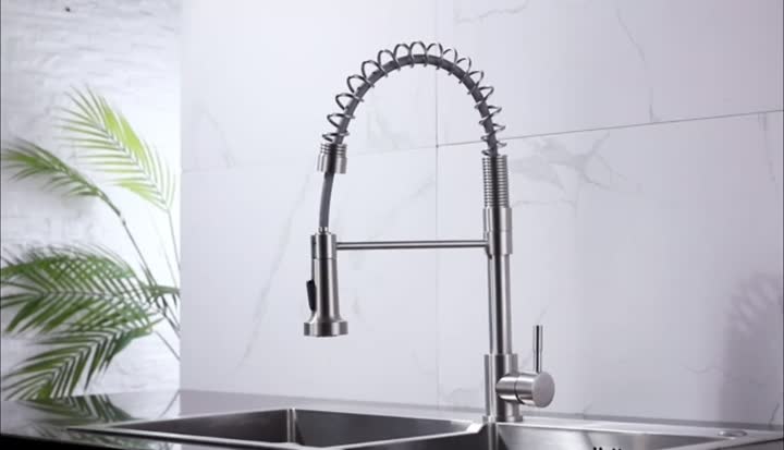 Sprayer Spring Kitchen Faucet