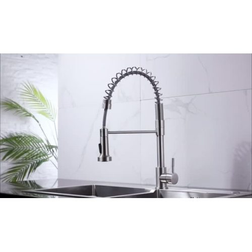 Sprayer Spring Kitchen Faucet