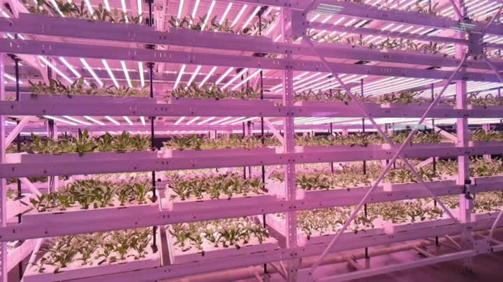 Интерьер завода 1