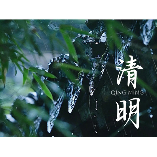 JSW, Qingming Festivali Öncesinde Üretim Hatlarını Hazırlıyor