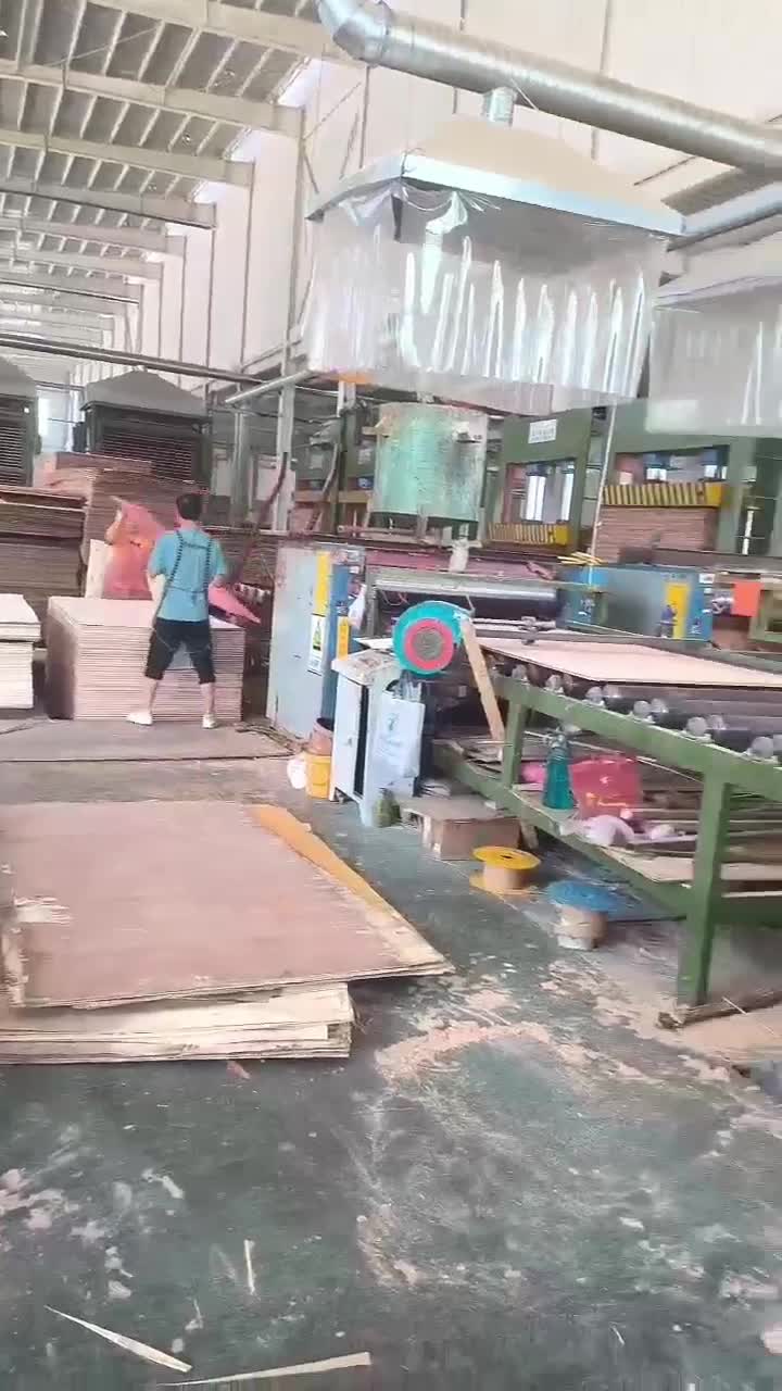 Producción rápida de madera contrachapada en Jiu Heng