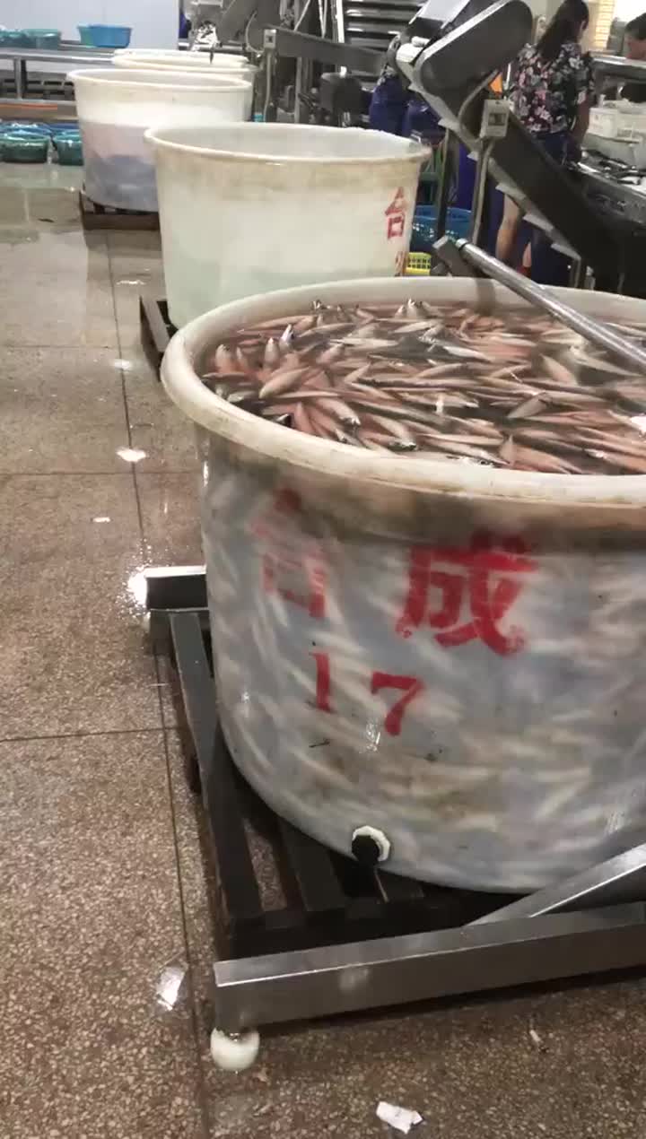 Línea de producción de peces