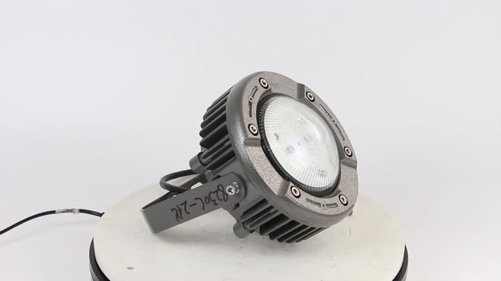 Explosion proof light-OHBF8230