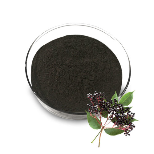 High Quality Black Elderberry Extract powder Polyphenols