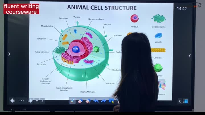 Using courseware on interactive boards