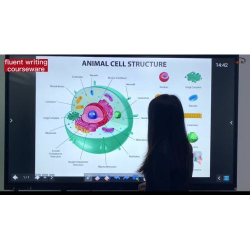 Using courseware on interactive boards