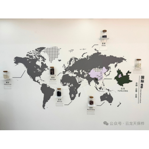 TBHBio y la Academia de Ciencias Agrícolas de Yunnan profundizan su asociación para el mejoramiento del frijol blanco