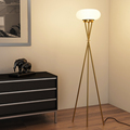 Nordic Luxury Standing Floor Lamp with Electroless Dimming1