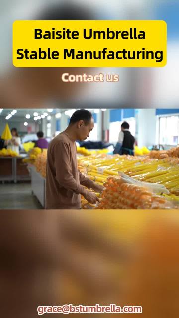 BaiSiTe Manufacture Video 11