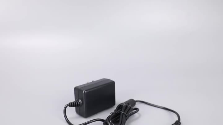 EU adapter 12V 2A