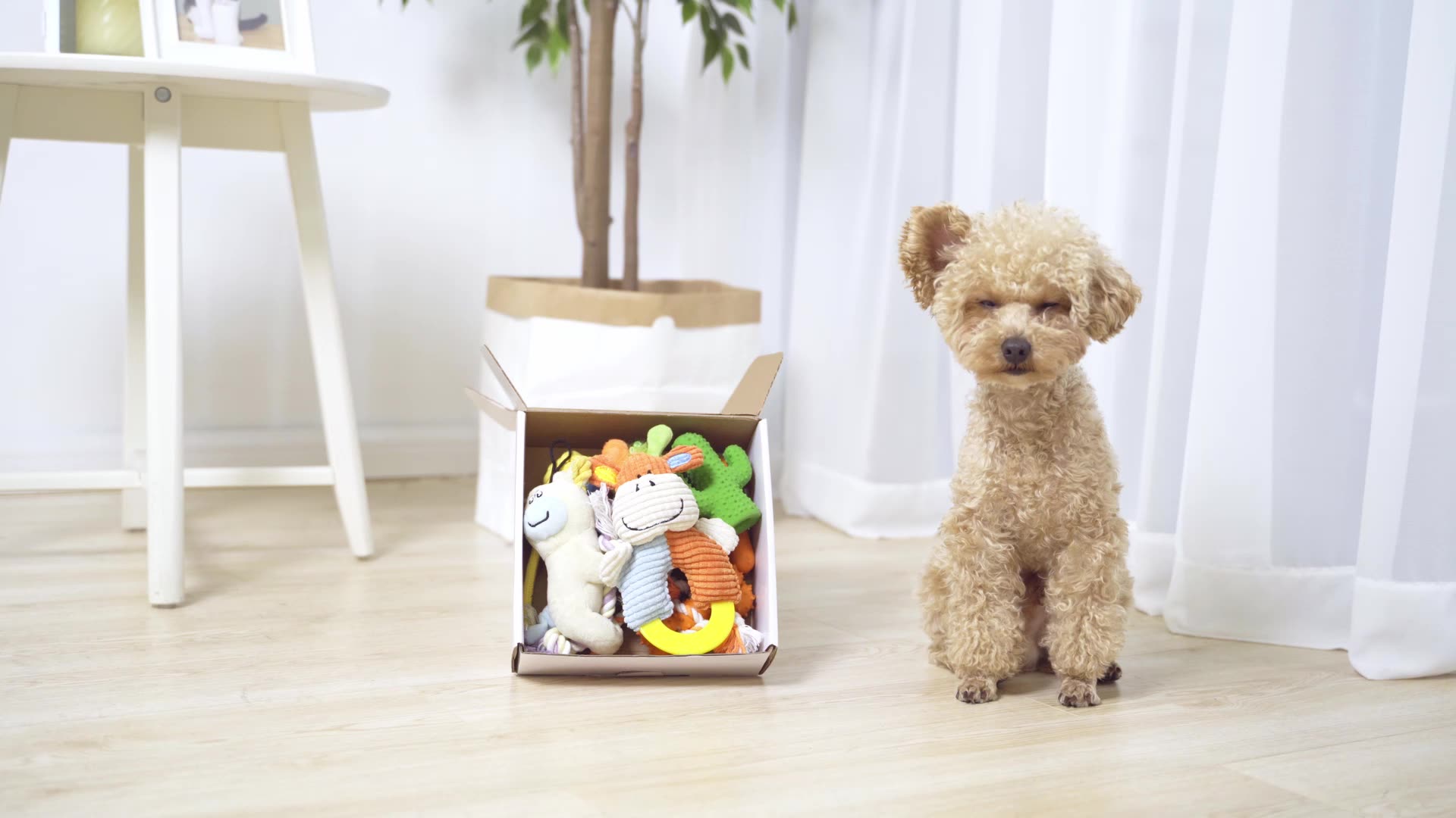 9 ชิ้นสุนัขน่ารักฟันทำความสะอาดของเล่นตุ๊กตาลูกสุนัขของเล่นยางชุด 1