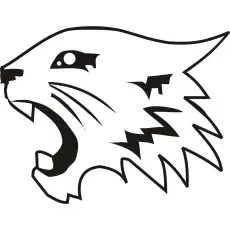 Dongguan Snowwolf Auto Parts Co., Ltd