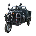 Electric Tricycle for Hauling Goods and Agriculture1