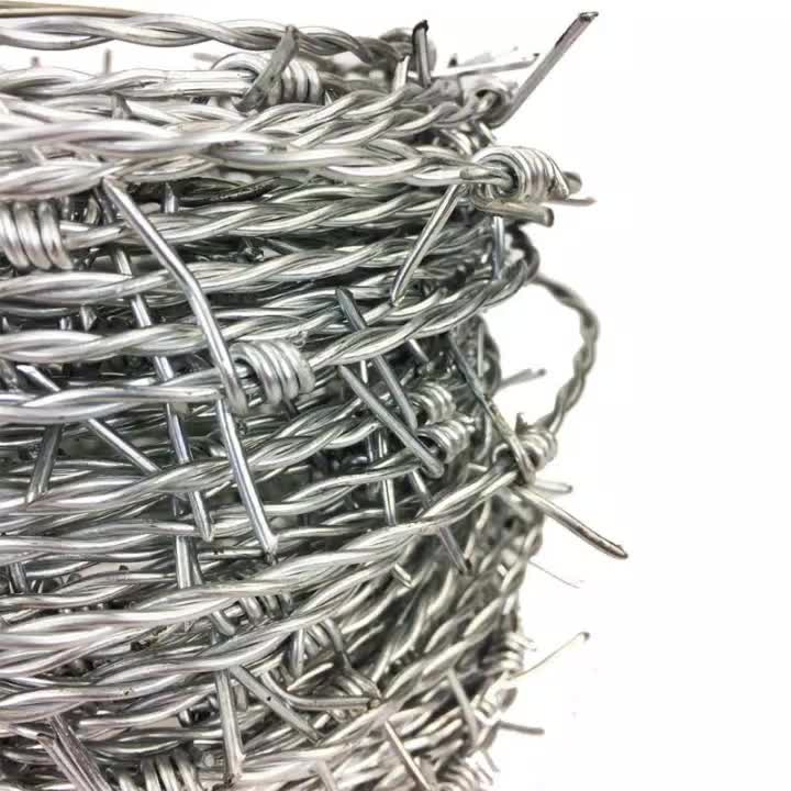 Hochwertige Installation von Rasiermesser, verzinkter Stacheldrahtzaun für Verkauf1