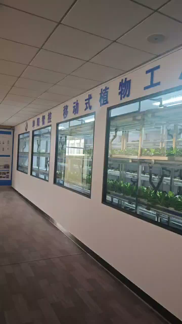 Видео о выращивании листовых овощей в контейнерах по индивидуальному заказу