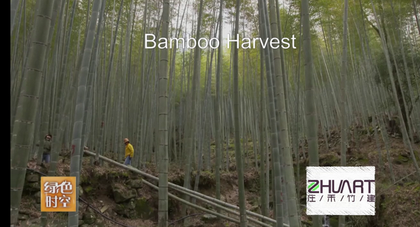ZHEJIANG JIAHE BAMBOO TECHNOLOGY CO., LTD