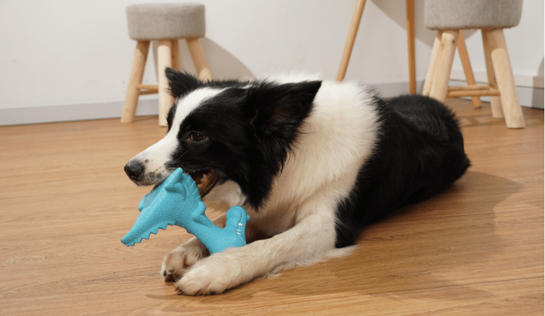 Aggressive Dog chew Toy