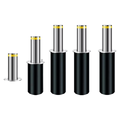 Electric Telescopic Bollard for Semi-Automatic Parking1