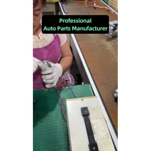 Premium Vehicle Motor Solutions