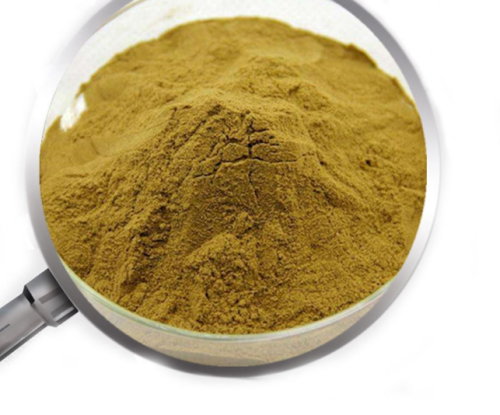 Low price Echinacea Purpurea Extract, Echinacea herb P.E. Echinacea Extract Polyphenols 4%-10% Cichoric acid