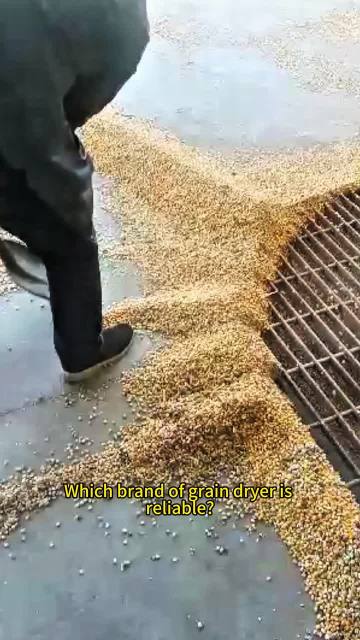 Grain Dryer Full View