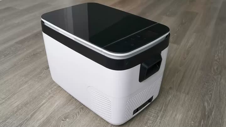 12 V/24 V DC Car Fridge with Compressor Cooling For outdoor or Home
