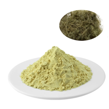 Top Quality Lichen Usnea Extract 98% Usnic acid 98% Usnic acid