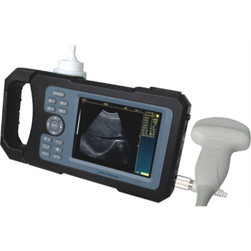 China Top 10 Animal Ultrasound Scanner Brands