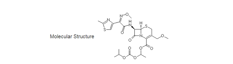 Cefpodoxime proxetil02