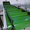 Βιομηχανική προσαρμοσμένη μικρή κεκλιμένη κεκλιμένη χοάνη τροφίμων PVC Belt Conveyor System1