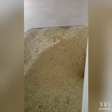 Video--Maize Milling Machine