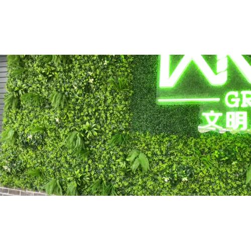 인공적인 녹색 벽