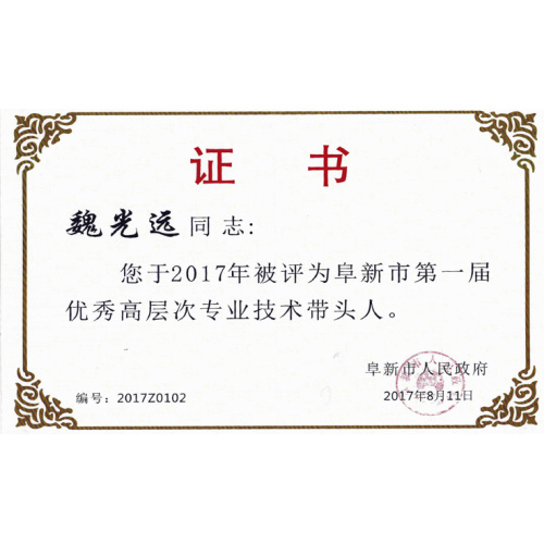 Félicitations chaleureuses à Wei Guangyuan et trois autres personnes pour avoir reçu le titre honoraire de "Excellents talents professionnels et techniques et talents qualifiés" à Fuxin City