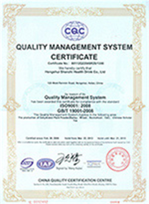 ISO 9000 Certificate(English)