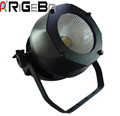 Rigeba 200W Outdoor COB PAR Can Light1