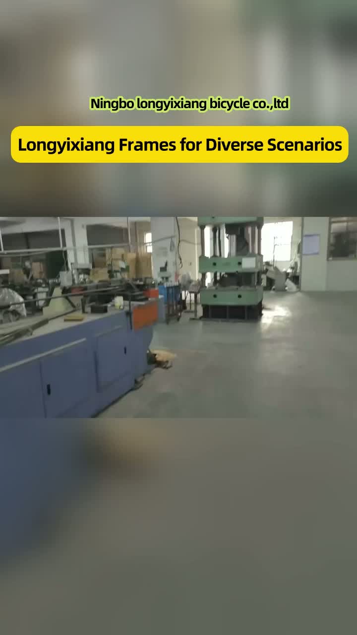 Real Shot produs video