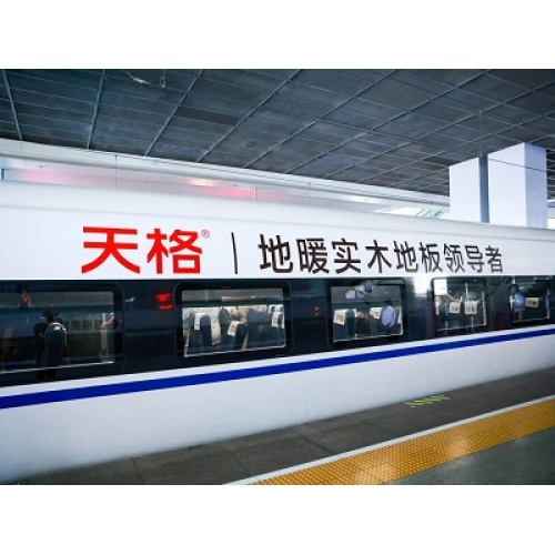 Teclic Floors Brand Railway de alta velocidade Trem especial Shanghai Hongqiao Station