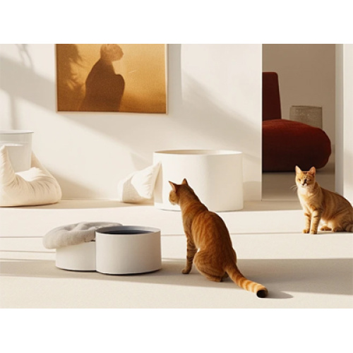 Sofás premium e funcionais para animais de estimação impulsionam a expansão global do mercado de móveis para animais de estimação em 2026