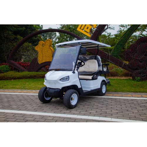 2-seater golf cart and 2 pcs of 4 seater golf cart