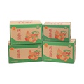 Shipping Carton Box Fruit Carton Fruit Packaging Carton for Packing & Shipping Fresh Products1