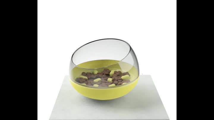 La capsule Wiggle Dog Bowl