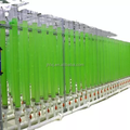 Algae Cultivation Technology: Exploring the Efficiency of Pipeline Photobioreactors1