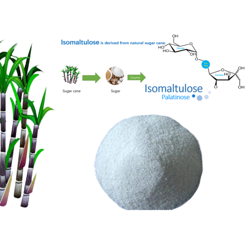 ทำไมนักวิ่งมาราธอนถึงรัก Palatinose / isomaltulose?