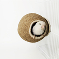 Coconut Shell Nesting House for Small Pet Birds1